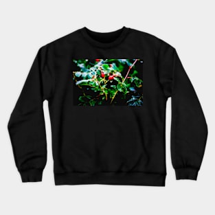 Rosehips Crewneck Sweatshirt